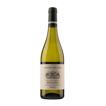 Изображение товара Вино итальянское белое DOC Montecarlo Fattoria del Teso, 0.75 L