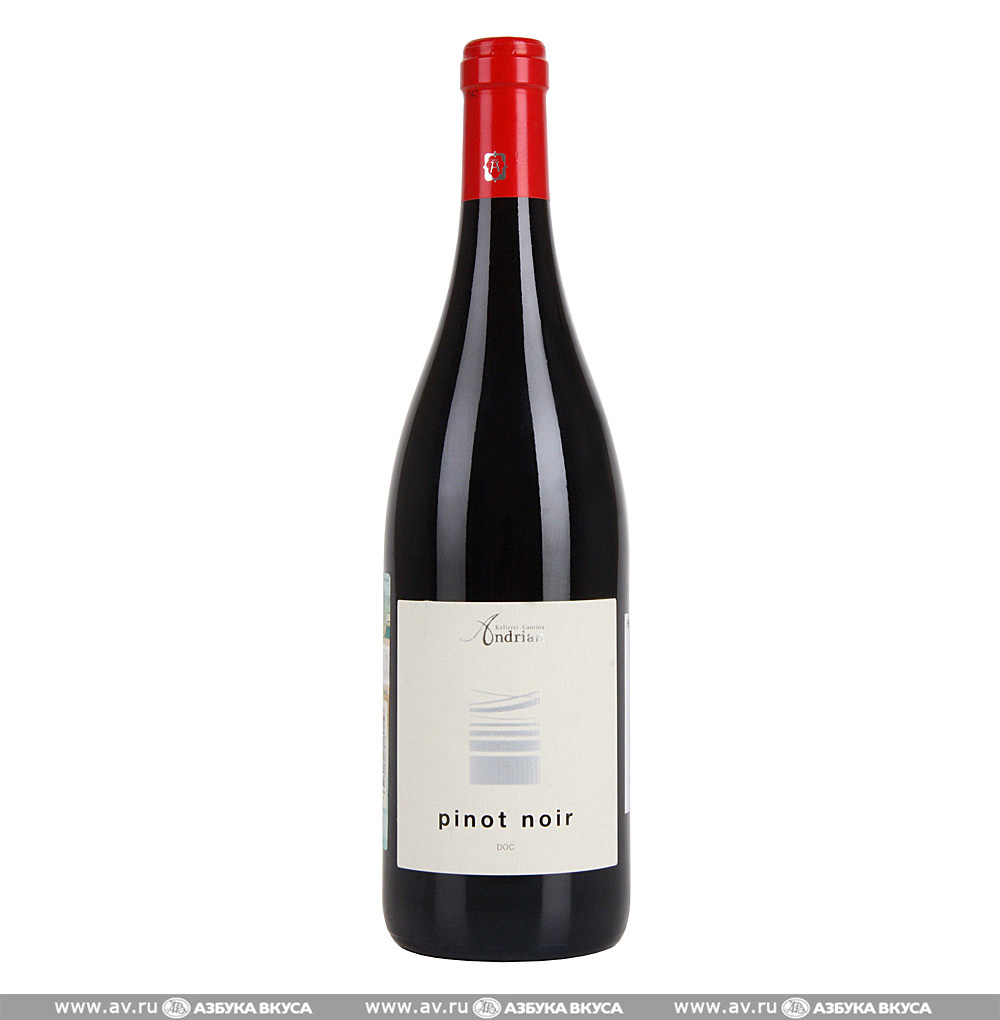 Изображение товара Вино итальянское красное DOC Alto Adige Pinot Noir Cantina Andrian, 0.75 L Изображение товара Вино итальянское красное DOC Alto Adige Pinot Noir Cantina Andrian, 0.75 L