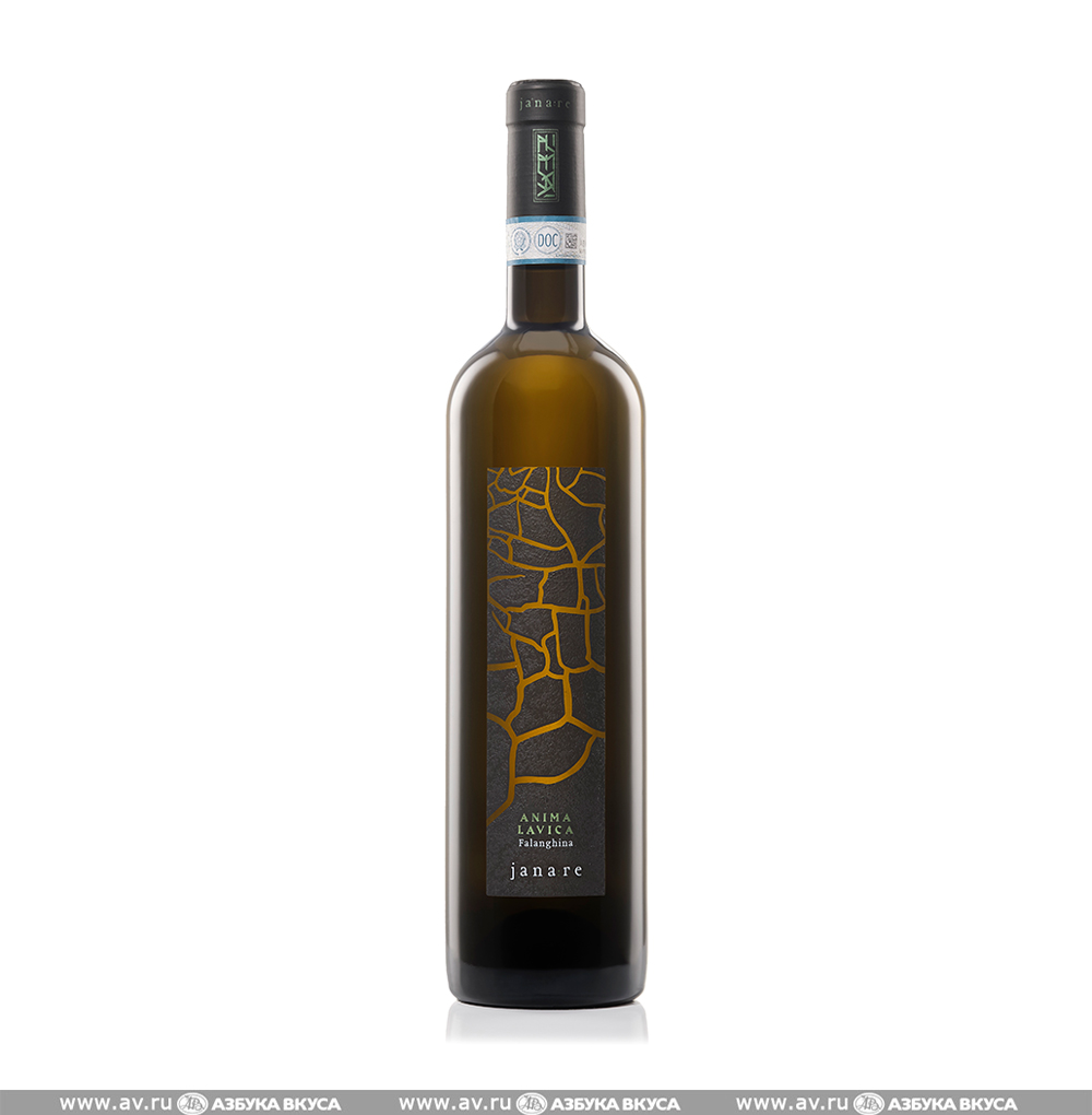 Изображение товара Итальянское белое вино Falanghina del Sannio Anima Lavica La Guardiense 0.75L