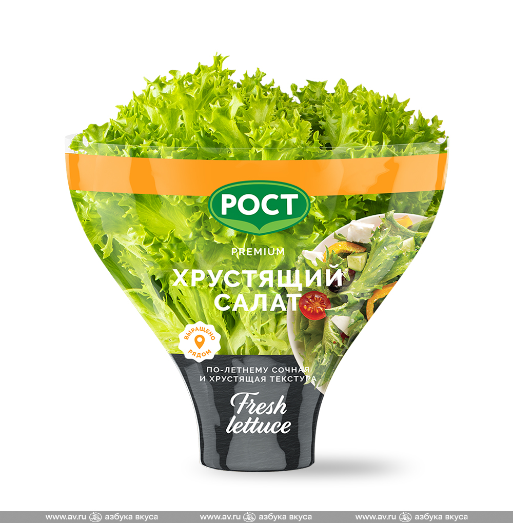 Изображение товара Салат хрустящий Экзакт, «РОСТ», 220 г, Россия Изображение товара Салат хрустящий Экзакт, «РОСТ», 220 г, Россия